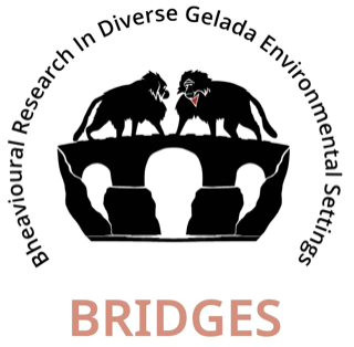 BRIDGES