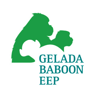 Gelada EEP programme